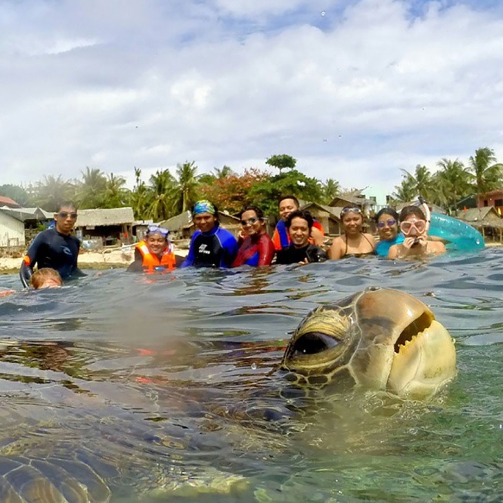 20 Photobombs That Cured the World of Boredom