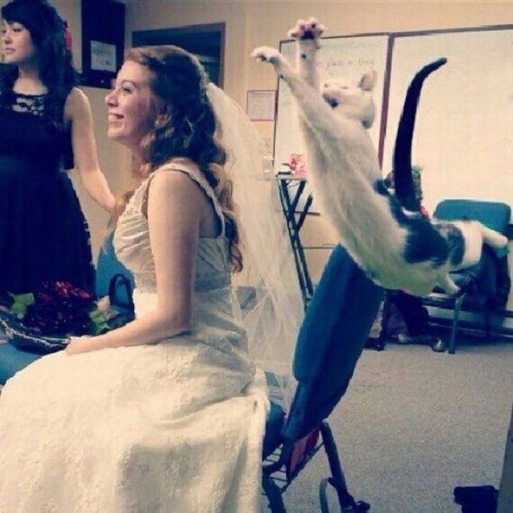 20 Photobombs That Cured the World of Boredom