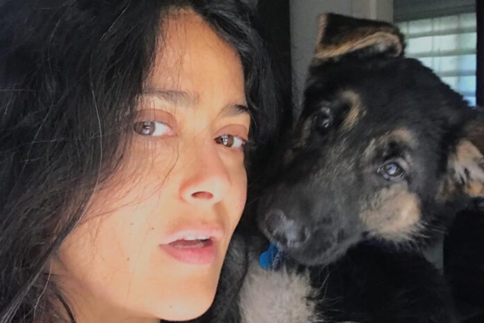 Οι 7 διάσημες που λάμπουν... χωρίς μακιγιάζ Salma Hayek