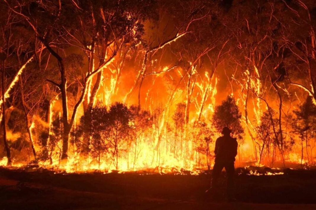 Πύρινη κόλαση στην Αυστραλία! Από τις 11 Νοεμβρίου έχουν καεί ...