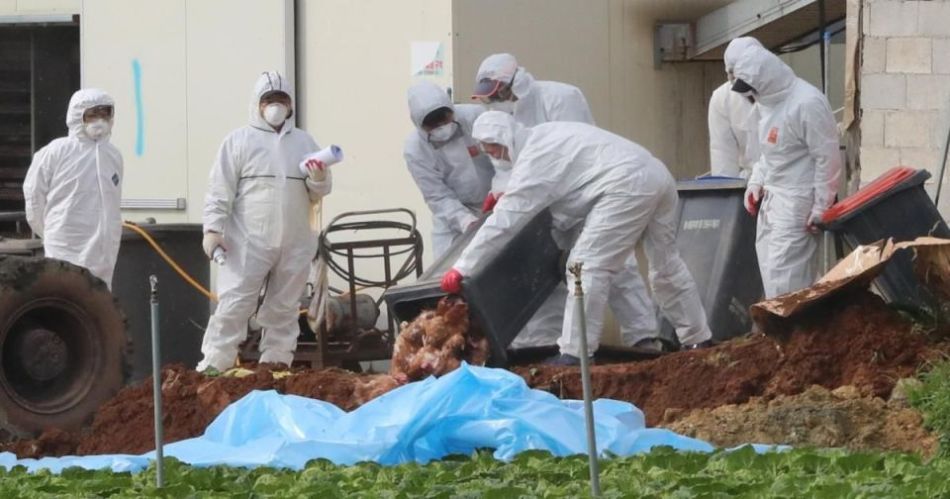 Οι 10 πληγές που τρώνε τον πλανήτη ΠΤΗΝΑ Η5Ν8