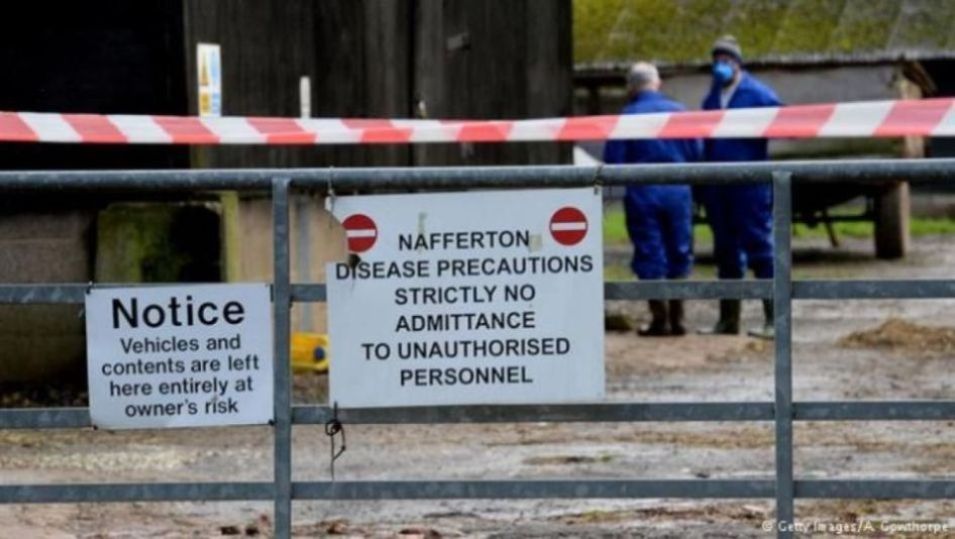 Οι 10 πληγές που τρώνε τον πλανήτη ΠΤΗΝΑ Η5Ν8