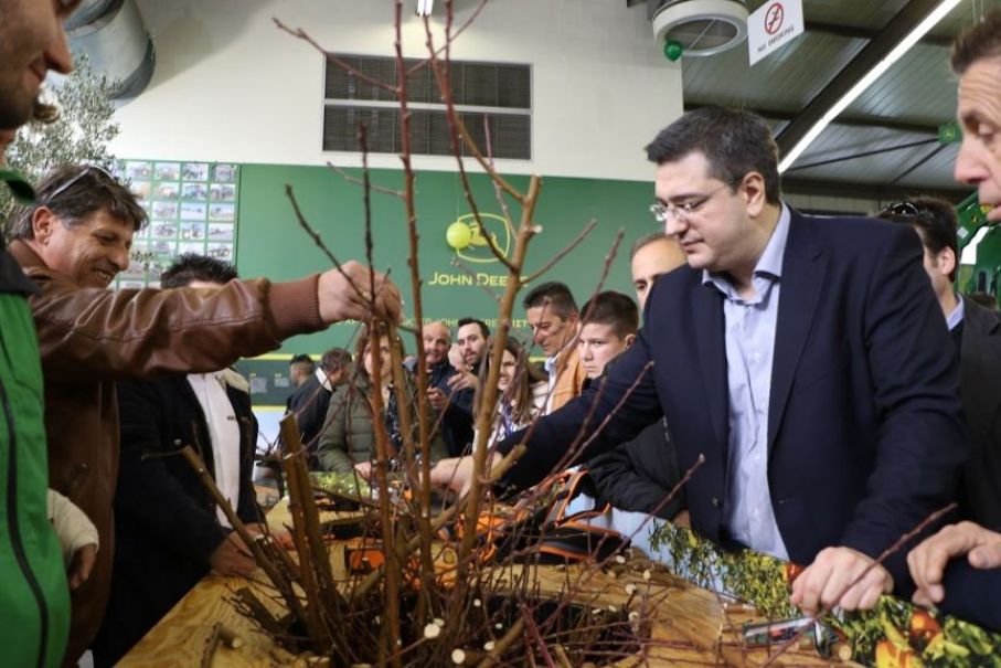 ΤΖΙΤΖΙΚΩΣΤΑΣ Agrotica