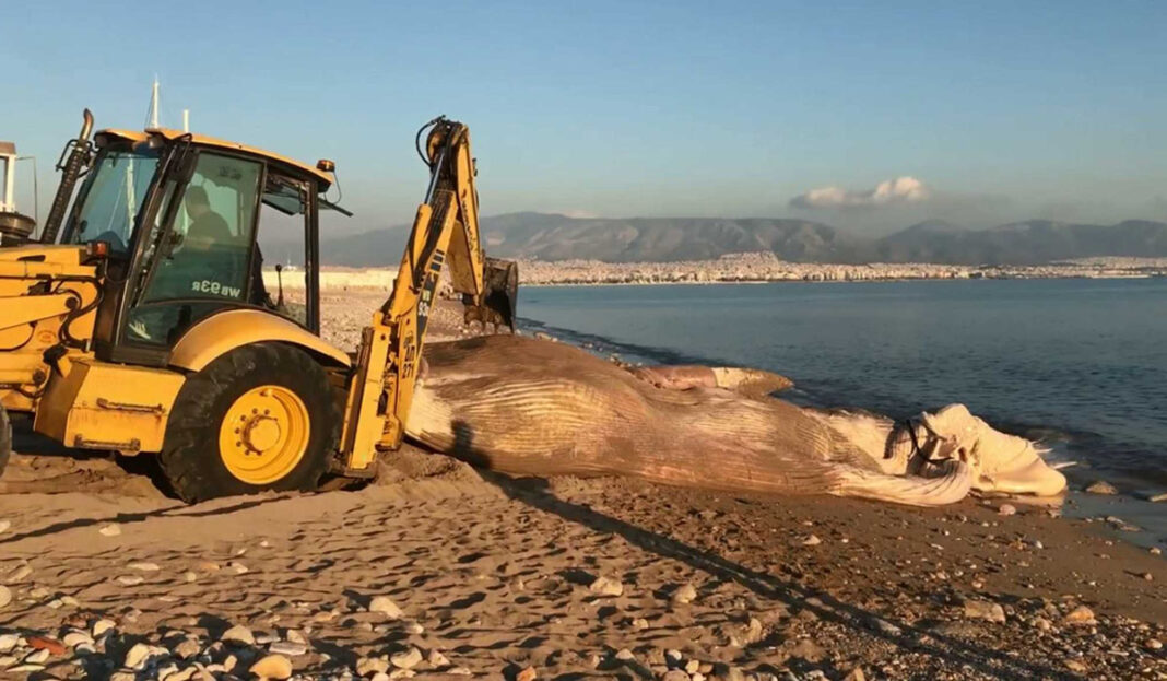 https://www.newsbreak.gr/tag/peiraias/