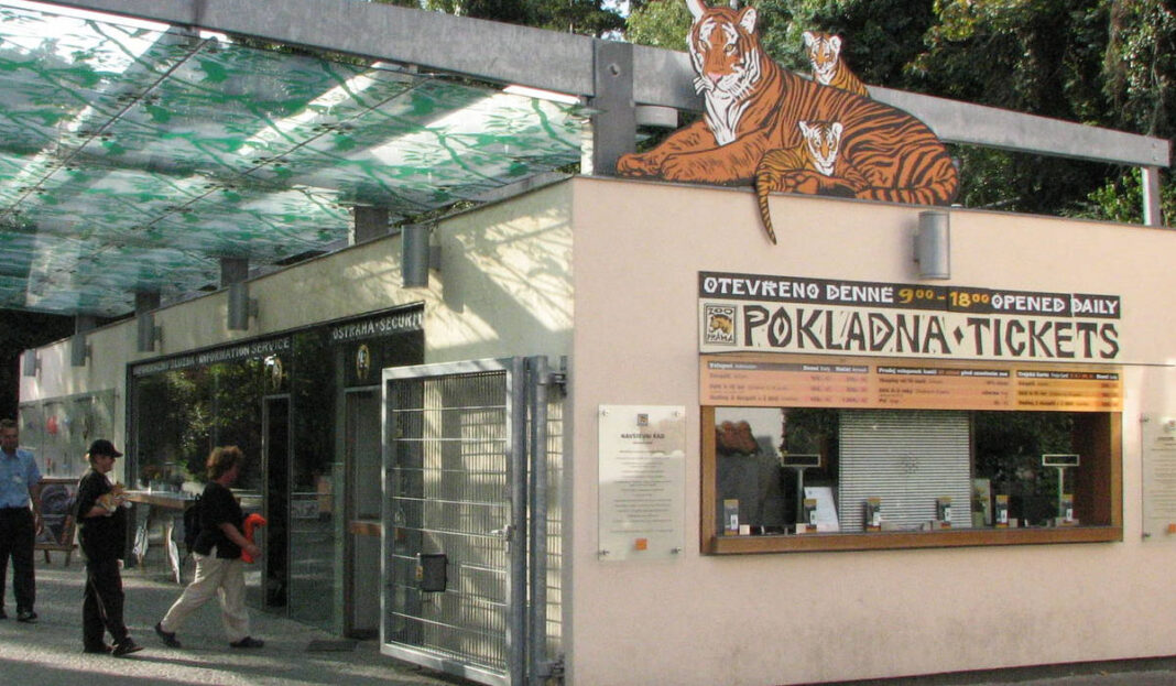 Ένας γορίλας και δύο λιοντάρια μολύνθηκαν από κορωνοϊό στην Τσεχία