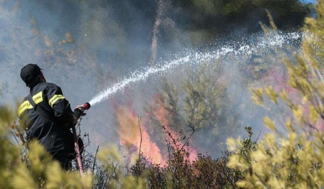 Φωτιά στην περιοχή Νερατζούλες της Ζακύνθου 5140897 3