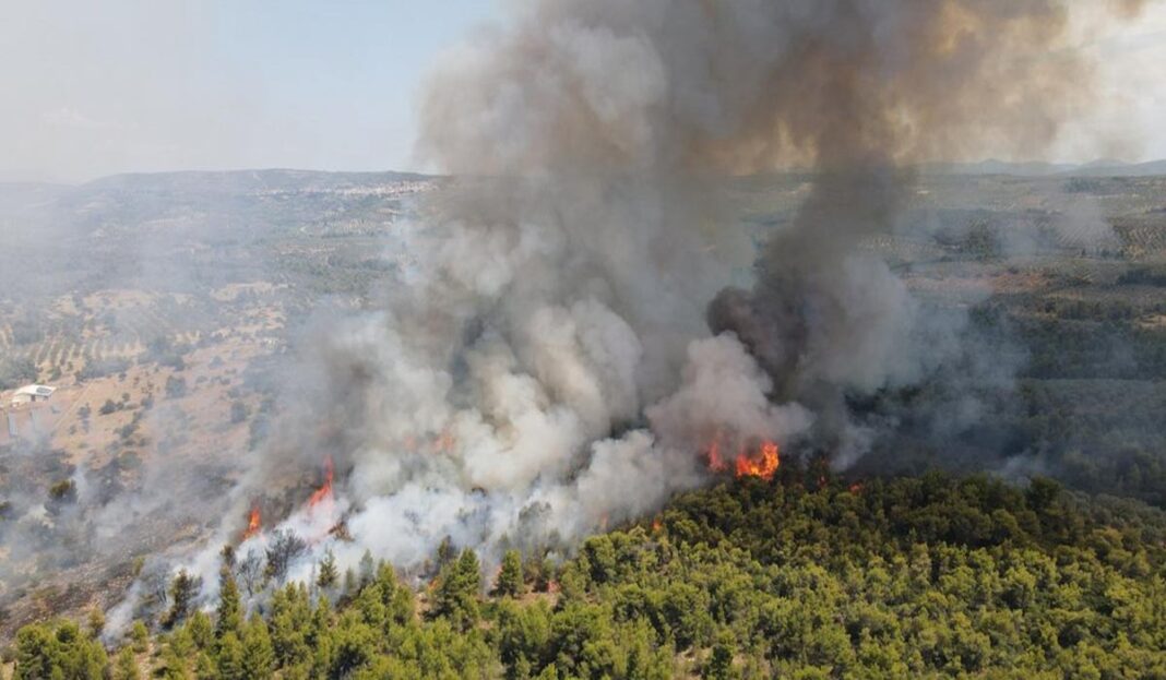 Απίστευτο: Ομολόγησε ο 14χρονος για τις φωτιές στον Θεολόγο! 14xronos foties theologos