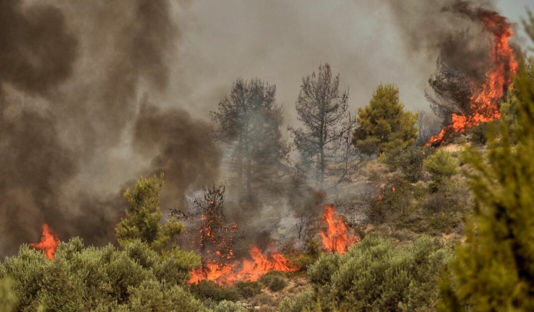 Ακόμα δεν είδαμε τίποτα… Όταν φύγει ο καύσωνας θα είναι ακόμα μεγαλύτερος ο κίνδυνος πυρκαγιών (video) φωτιά δάσος