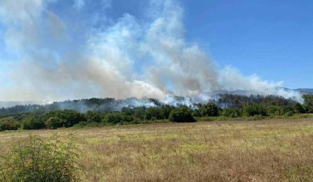 Σε εξέλιξη πυρκαγιά στην Αλιστράτη Σερρών pyrkagia