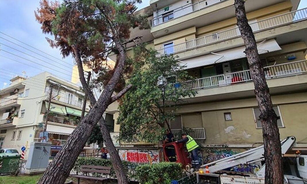 Δέντρο έπεσε πάνω σε πολυκατοικία στην Καλαμαριά KALAMARIA