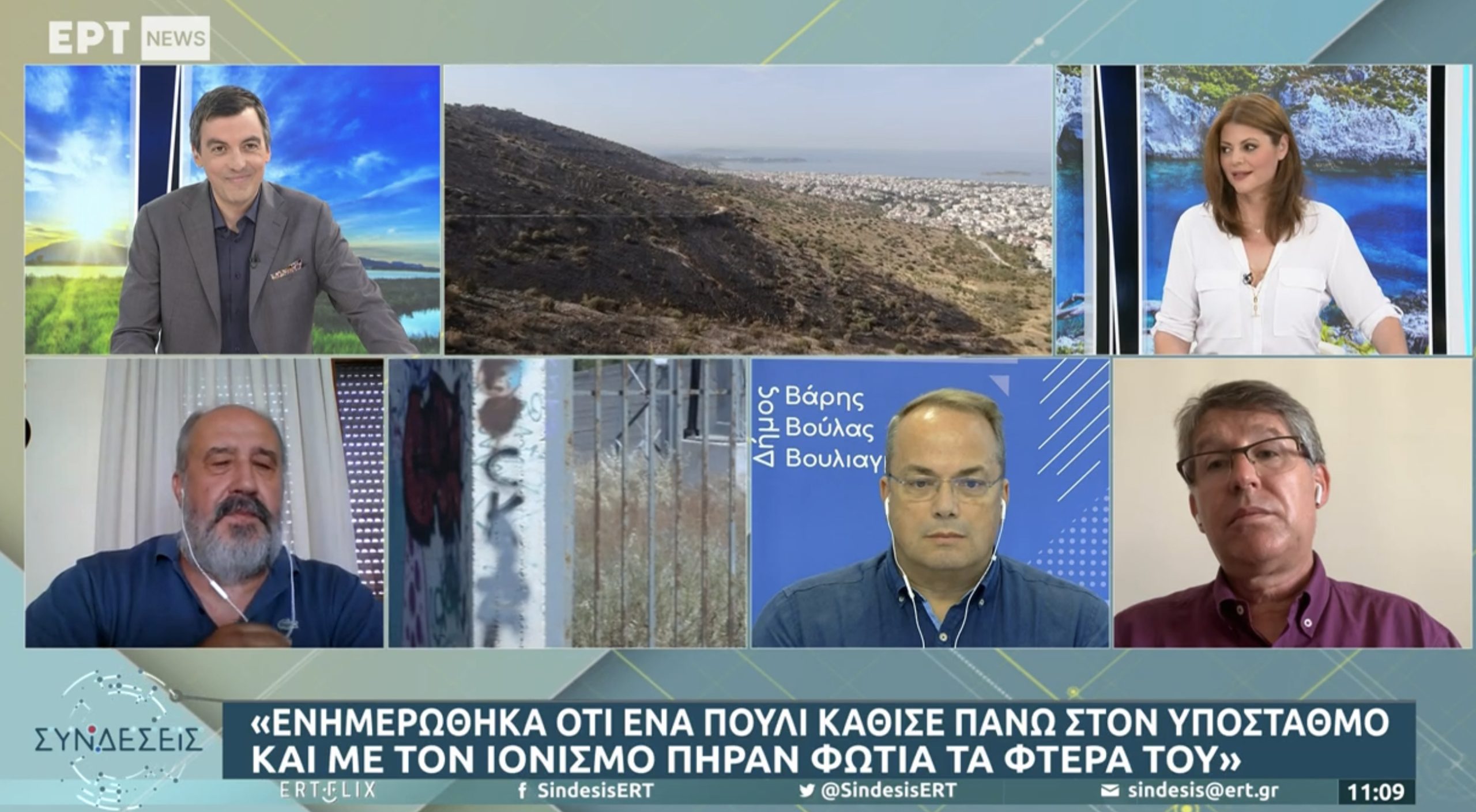 Σάλος με την αποκάλυψη στον αέρα της ΕΡΤ πως ένα πουλί που πέταγε προκάλεσε την φωτια 7 77361B1C 63AC 43F5 A805 27060A6D98C7 scaled