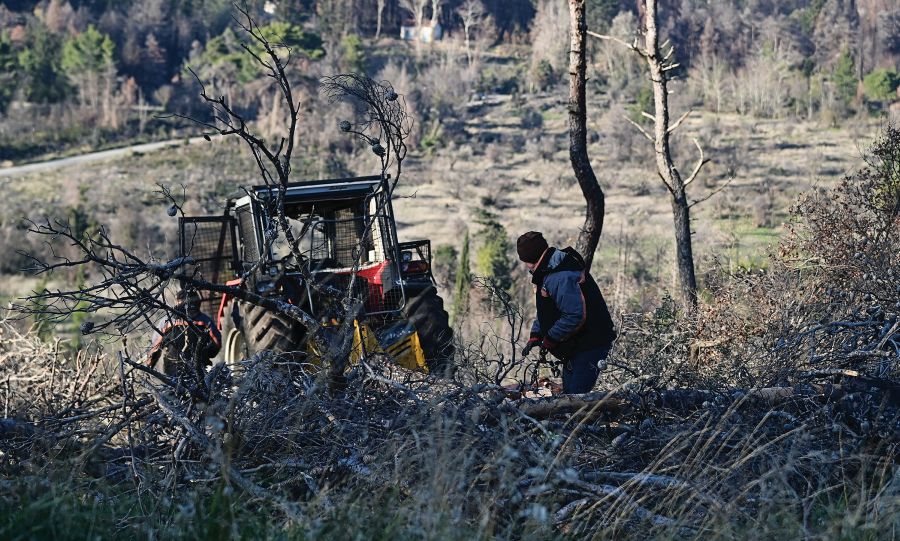 Διεθνές ξεβράκωμα με το παρατημένο βασιλικό κτήμα στο Τατόι – Λίφτινγκ της κακιάς ώρας