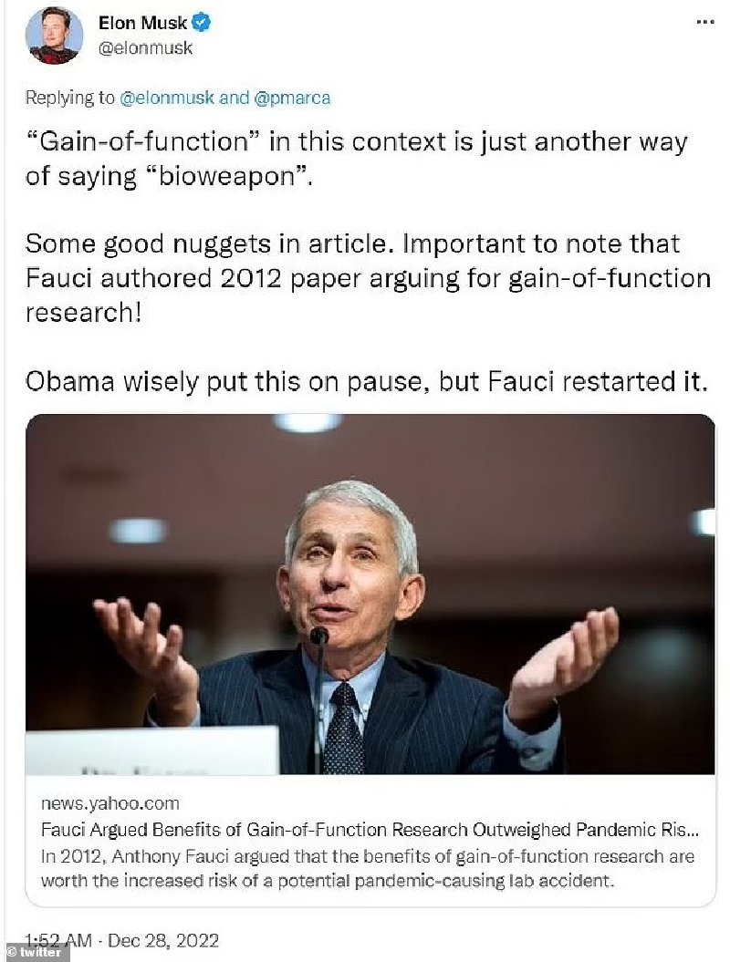 Musk fauci 5