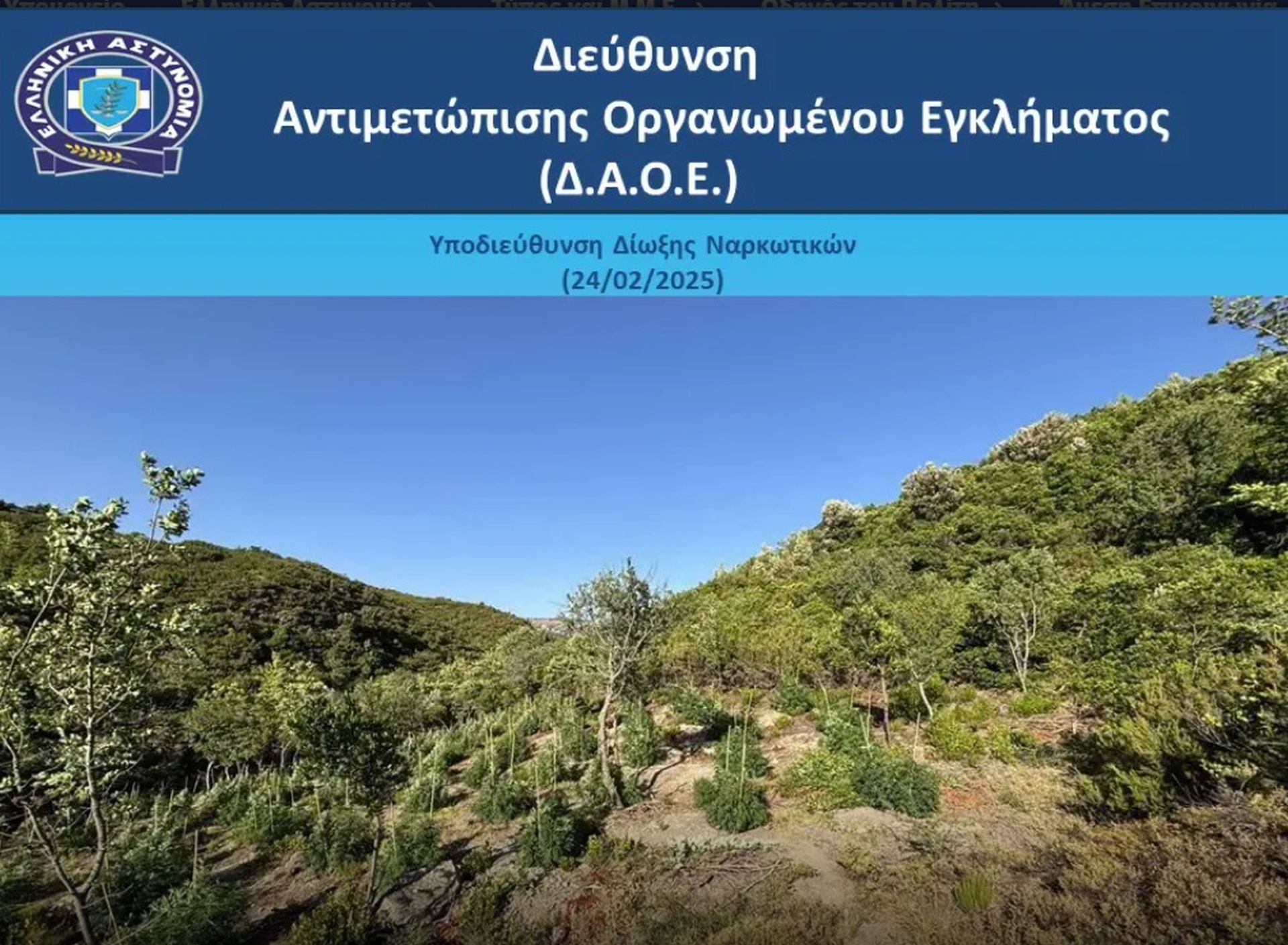 κάνναβη