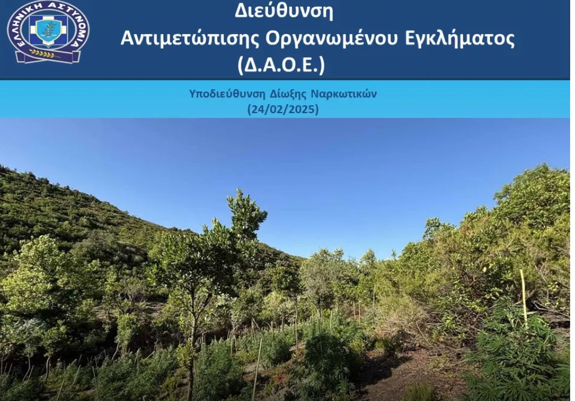 κάνναβη