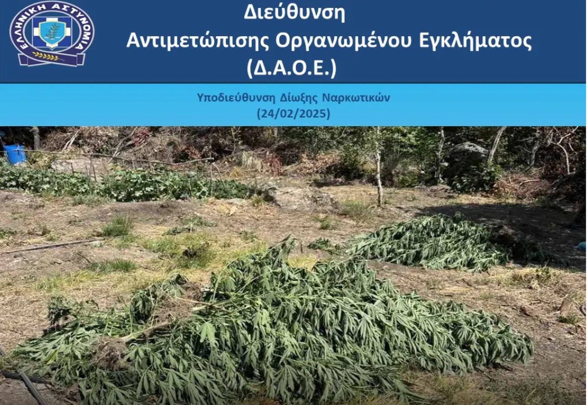κάνναβη