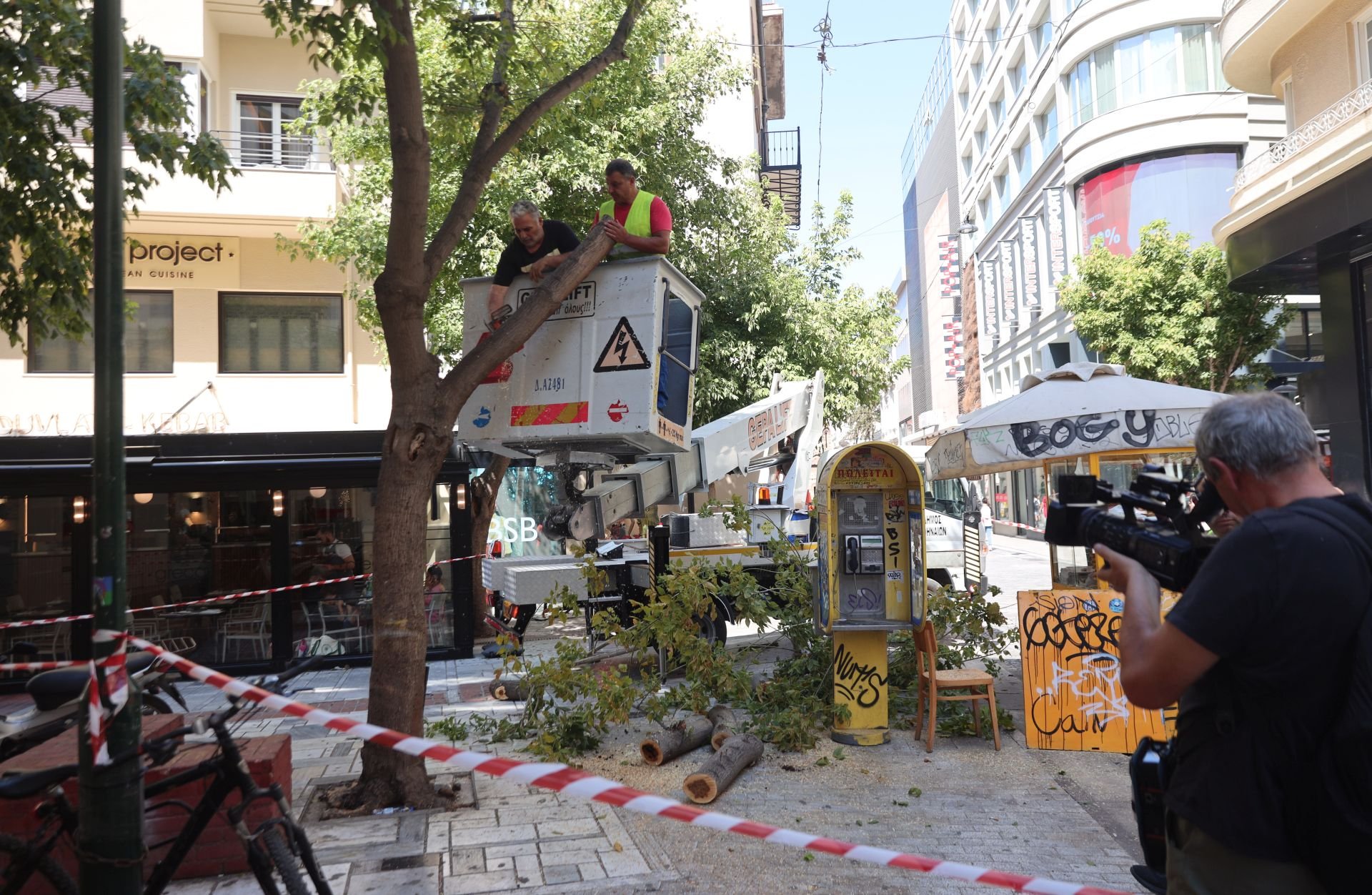 δέντρο