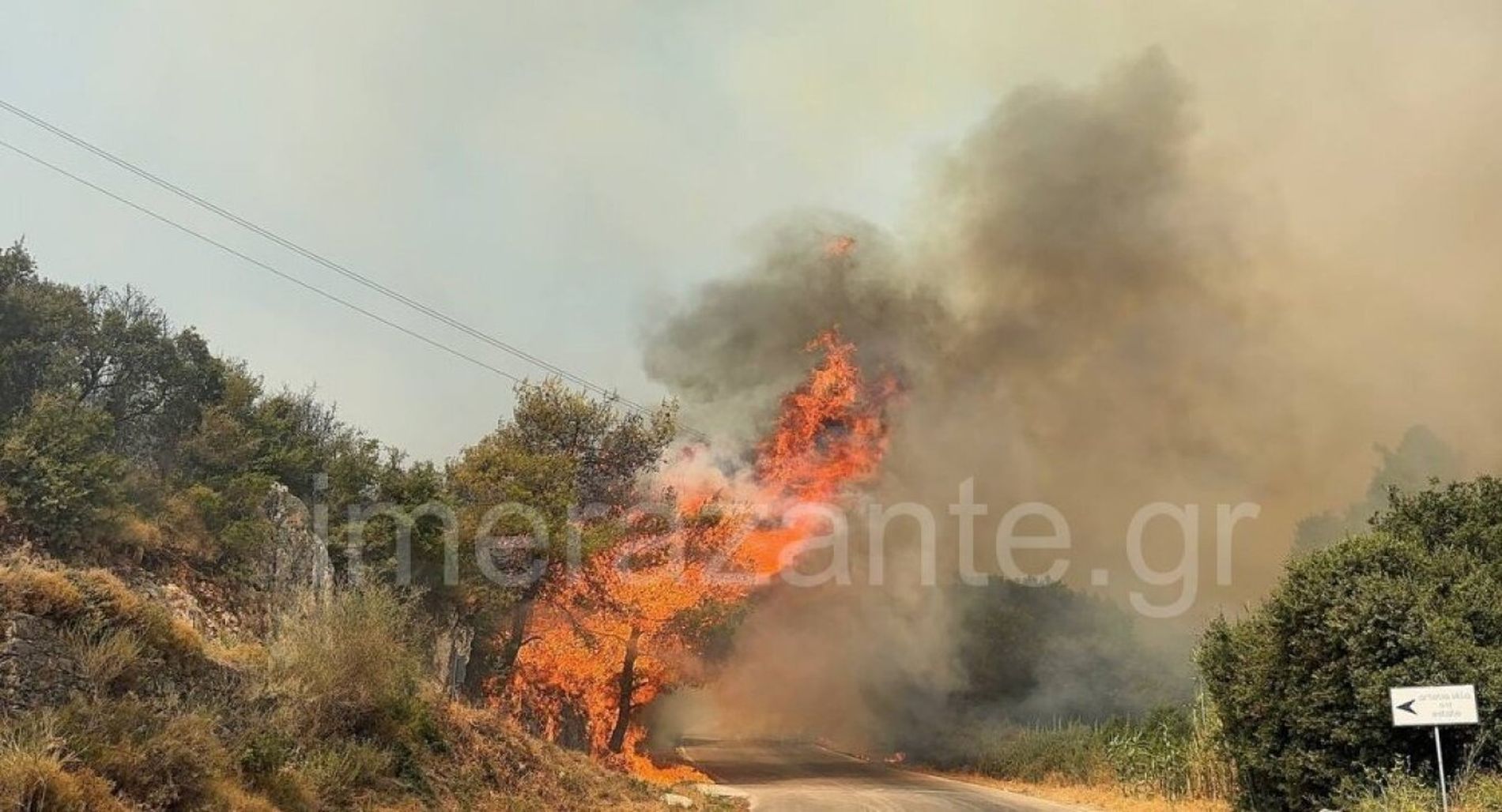 Στις αυλές σπιτιών η φωτιά στη Ζάκυνθο - Νέο μέτωπο στη Βόνιτσα, ενίσχυση δυνάμεων στην Πρέβεζα