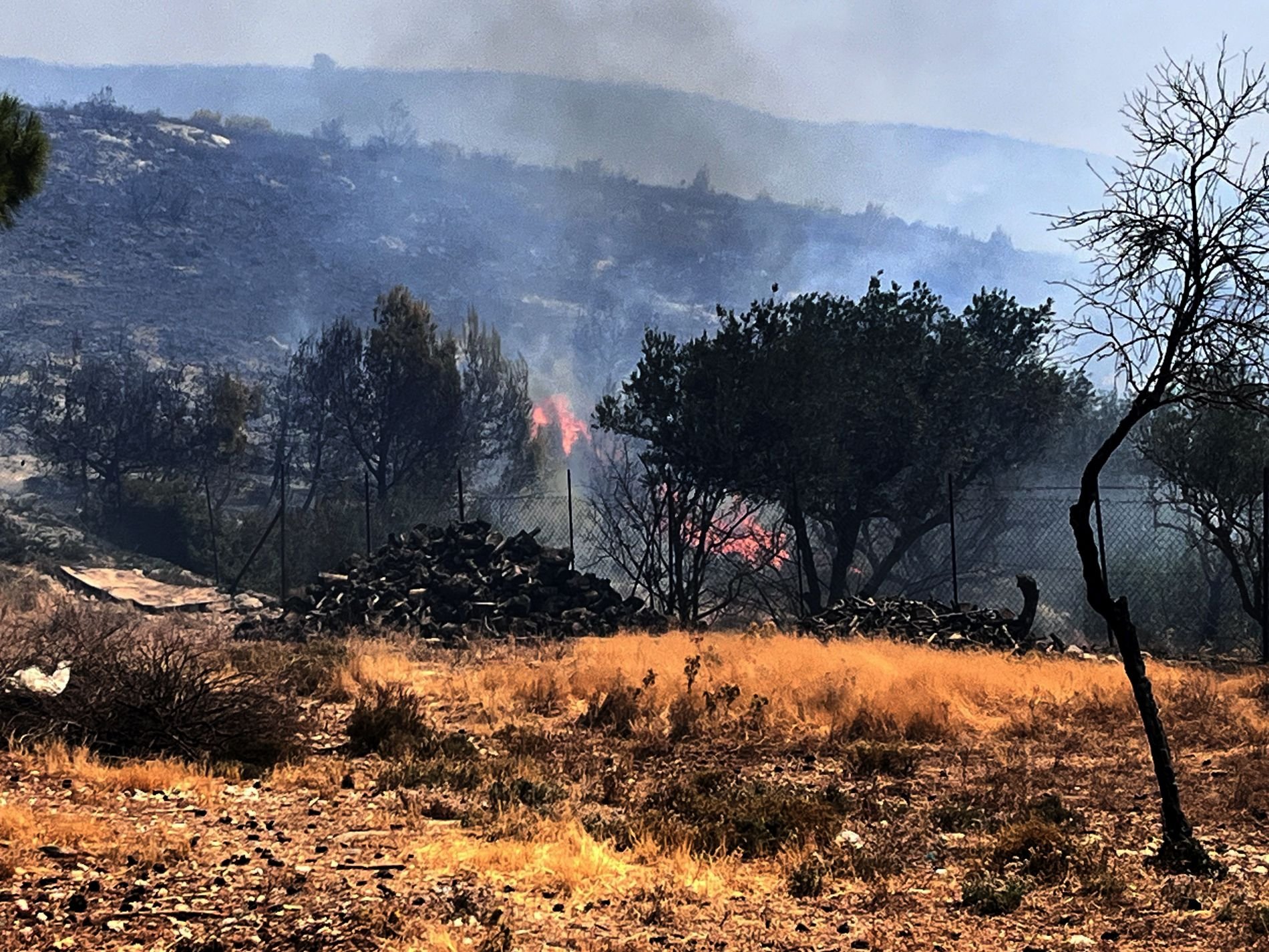 Στις αυλές σπιτιών η φωτιά στη Ζάκυνθο - Διάσπαρτες εστίες στη Βόνιτσα, μάχη με τις φλόγες στην Άρτα