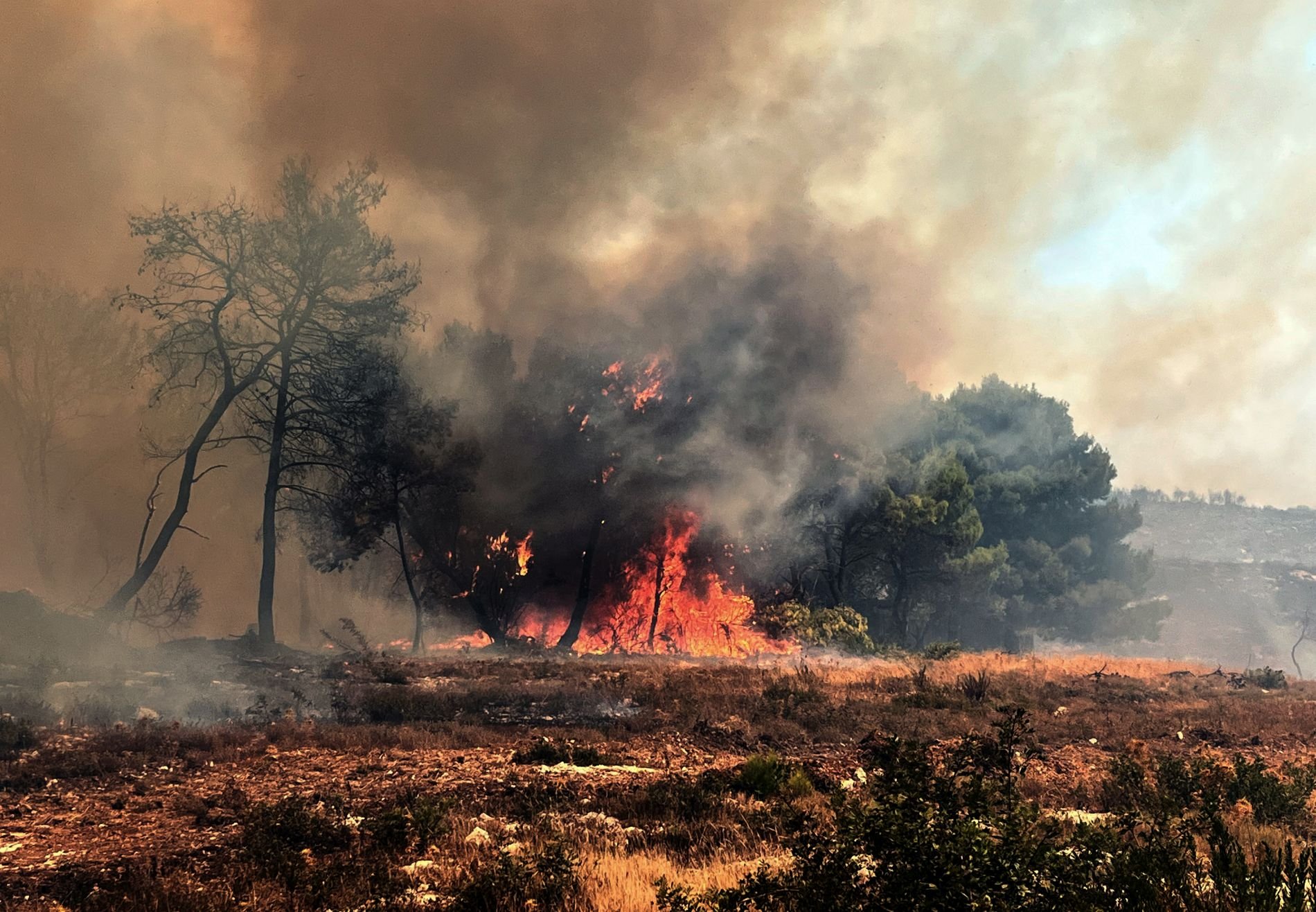 Στις αυλές σπιτιών η φωτιά στη Ζάκυνθο - Διάσπαρτες εστίες στη Βόνιτσα, μάχη με τις φλόγες στην Άρτα