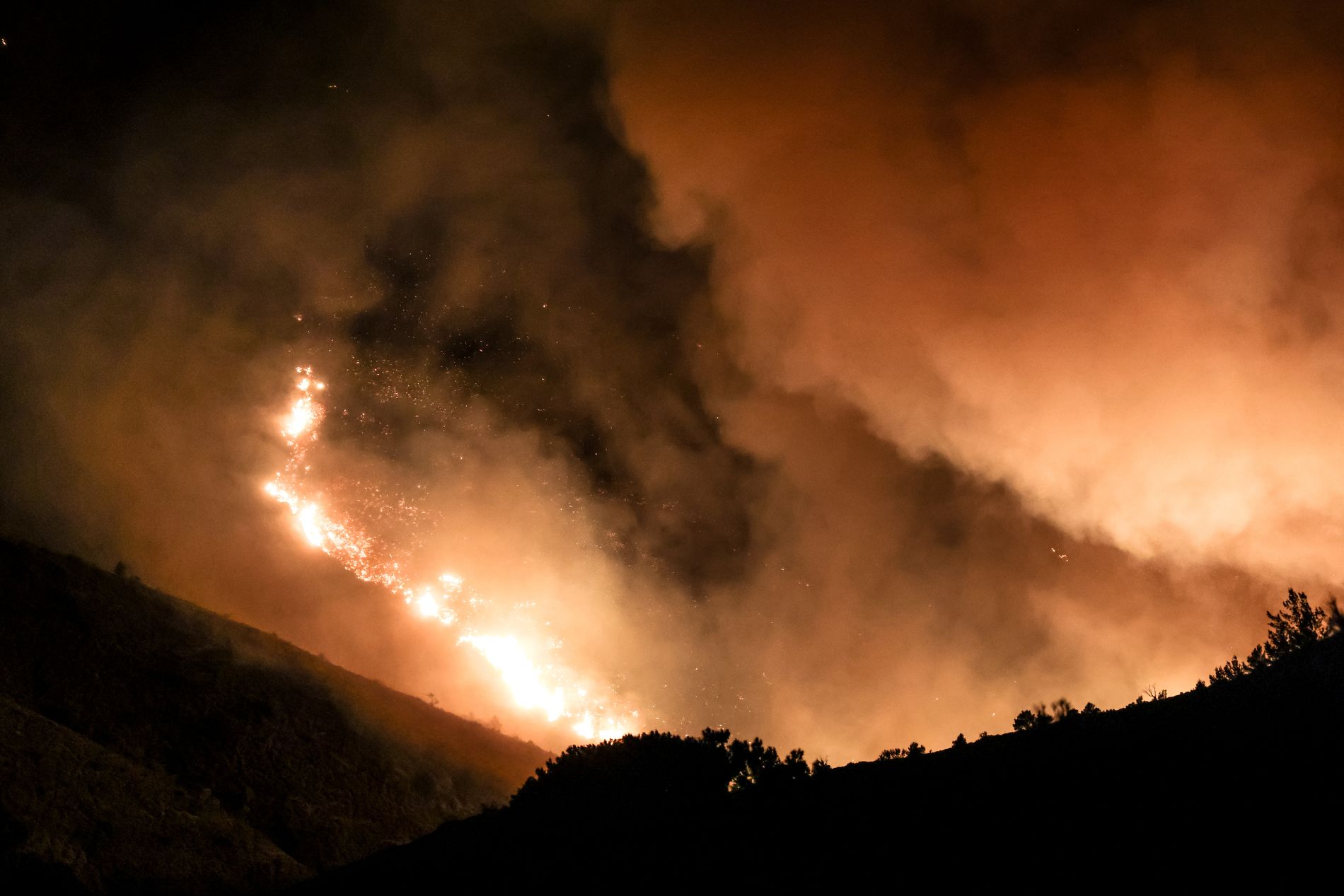 Πύρινος εφιάλτης σε Αχαΐα, Πρέβεζα, Ζάκυνθο, Άρτα, Βόνιτσα και Χίο - Νεκρός στο Κορωπί, φωτιά και στα Μέγαρα