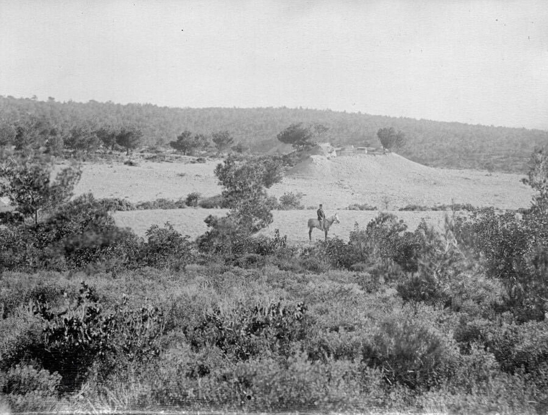 %CE%86%CF%80%CE%BF%CF%88%CE%B7 %CF%84%CE%BF%CF%85 %CE%A4%CF%8D%CE%BC%CE%B2%CE%BF%CF%85 %CF%84%CE%BF%CF%85 %CE%A3%CE%BF%CF%86%CE%BF%CE%BA%CE%BB%CE%AE %CE%BC%CE%B1%CE%B6%CE%AF %CE%BC%CE%B5 %CF%84%CE%BF%CE%BD %CE%B1%CE%BD%CE%B1%CF%83%CE%BA%CE%B1%CF%86%CE%AD%CE%B1 %CF%84%CE%BF%CF%85 L. Munter %CE%91%CF%81%CF%87%CE%B5%CE%AF%CE%BF %CE%93%CE%B5%CF%81%CE%BC%CE%B1%CE%BD%CE%B9%CE%BA%CE%BF%CF%8D %CE%91%CF%81%CF%87%CE%B1%CE%B9%CE%BF%CE%BB%CE%BF%CE%B3%CE%B9%CE%BA%CE%BF%CF%8D %CE%99%CE%BD%CF%83%CF%84%CE%B9%CF%84%CE%BF%CF%8D%CF%84%CE%BF%CF%85