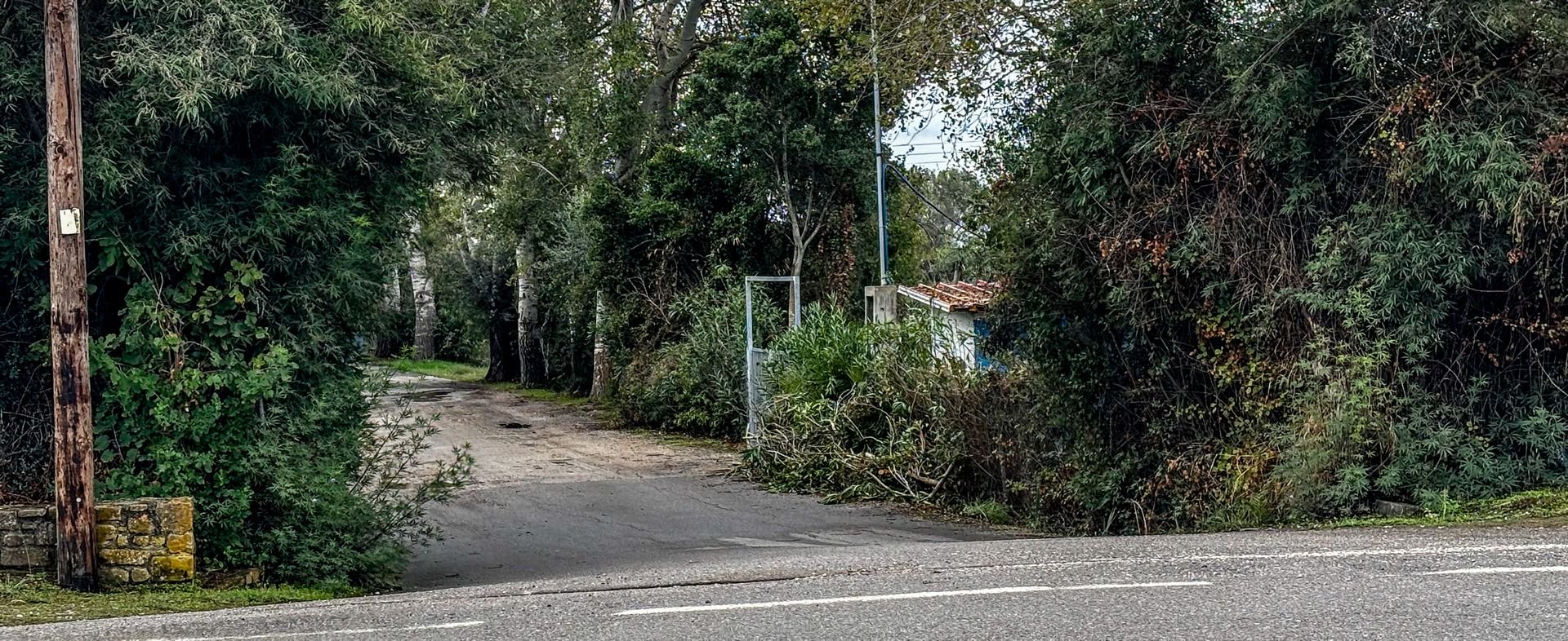 Φοινικούντα: Συγγενείς «φωτογραφίζει» ως δράστες η ανιψιά του 68χρονου