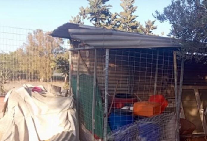 «Ενοικιάζεται κοτέτσι 1650 ευρώ»: Η αγγελία στα Χανιά που έγινε viral! Αγγελία για κοτέτσι 1650 ευρώ