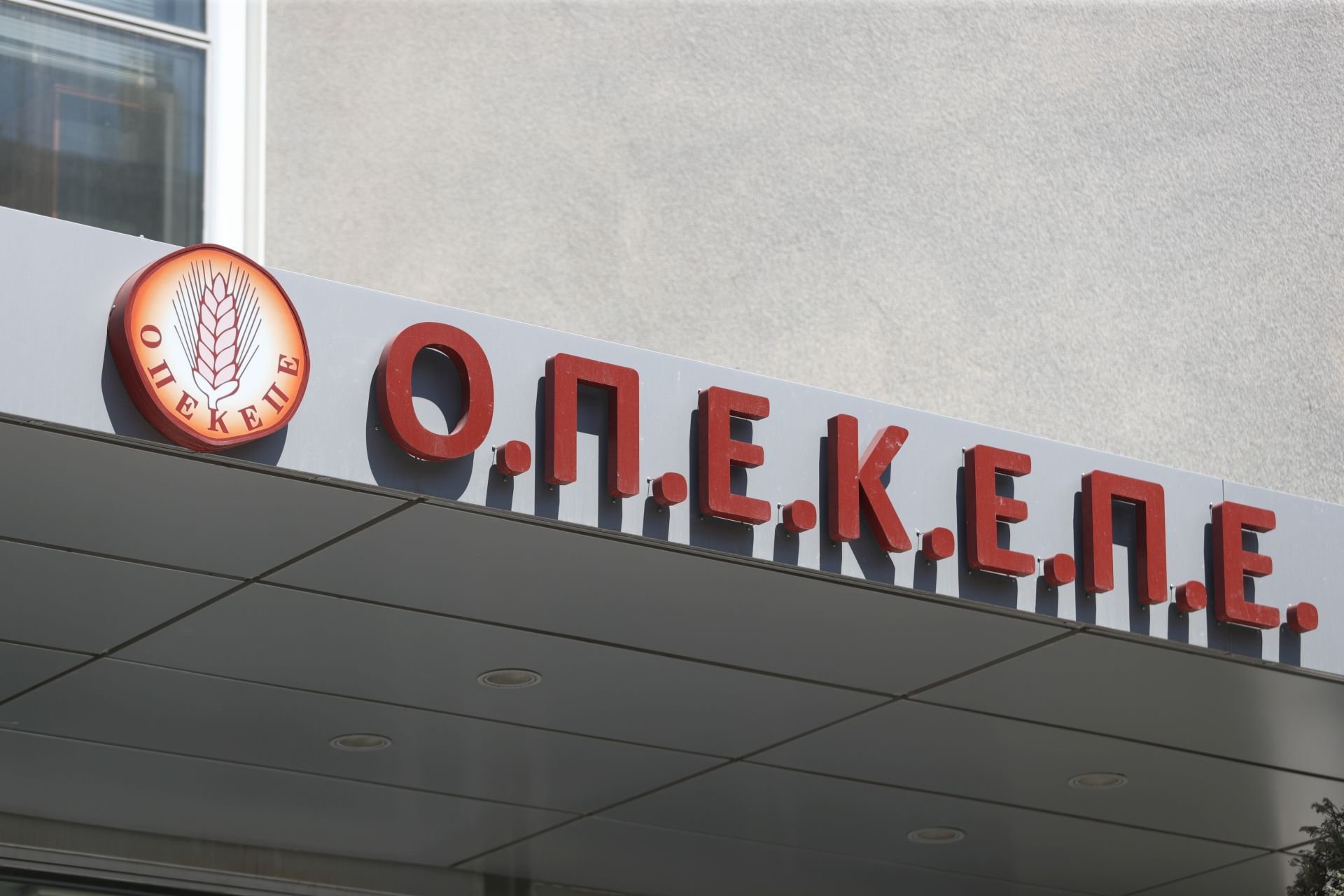 ΟΠΕΚΕΠΕ: Προφυλακίστηκαν δύο από τα βασικά μέλη της οργάνωσης