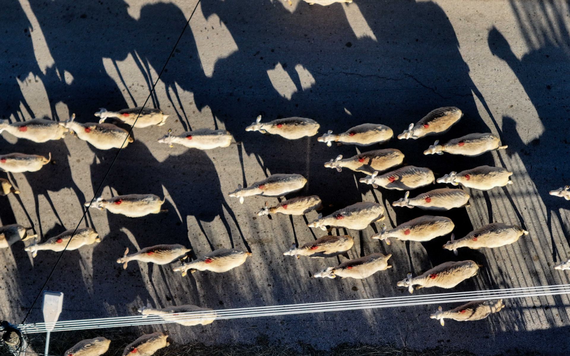 ΟΠΕΚΕΠΕ: Τελεσίγραφο της Κομισιόν για να μην ανασταλούν οι πληρωμές στους αγρότες