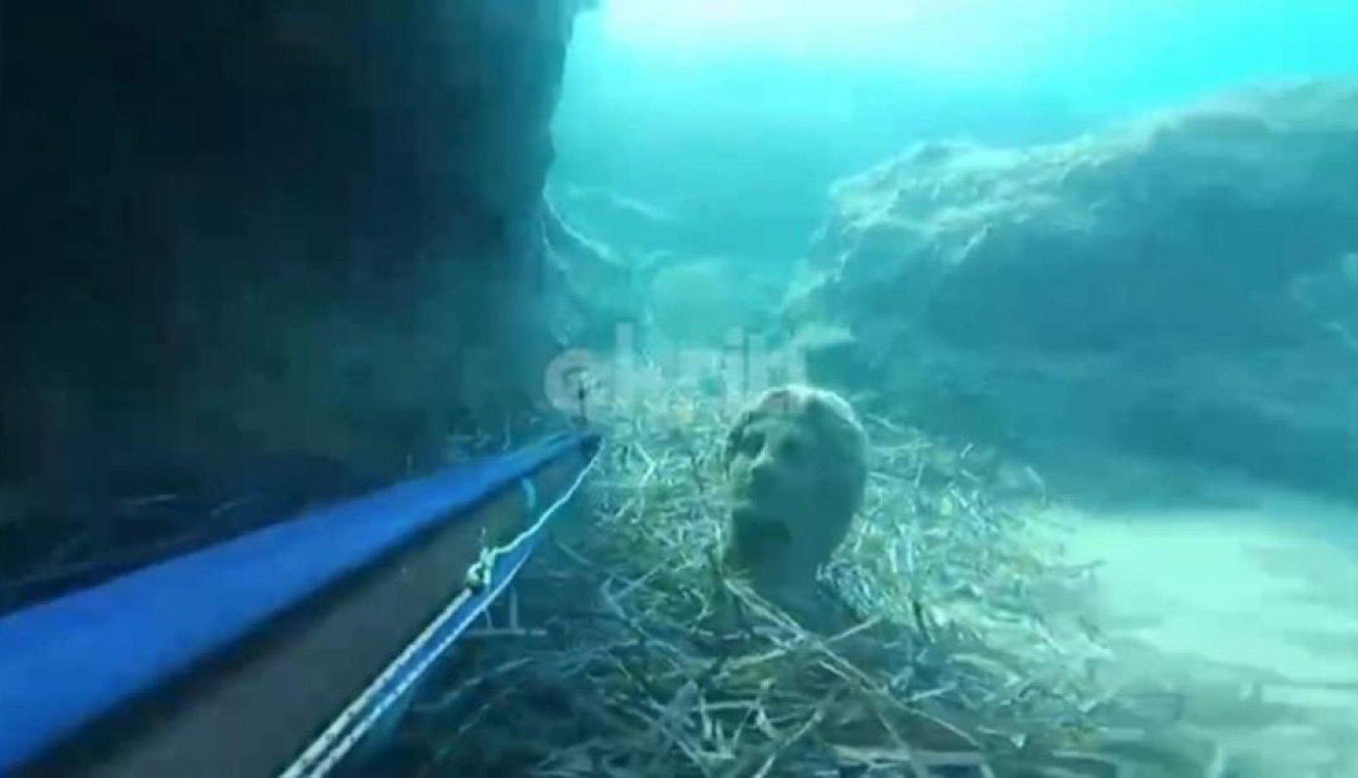 Ψαροντουφεκάς στην Κρήτη βρήκε άγαλμα στον βυθό