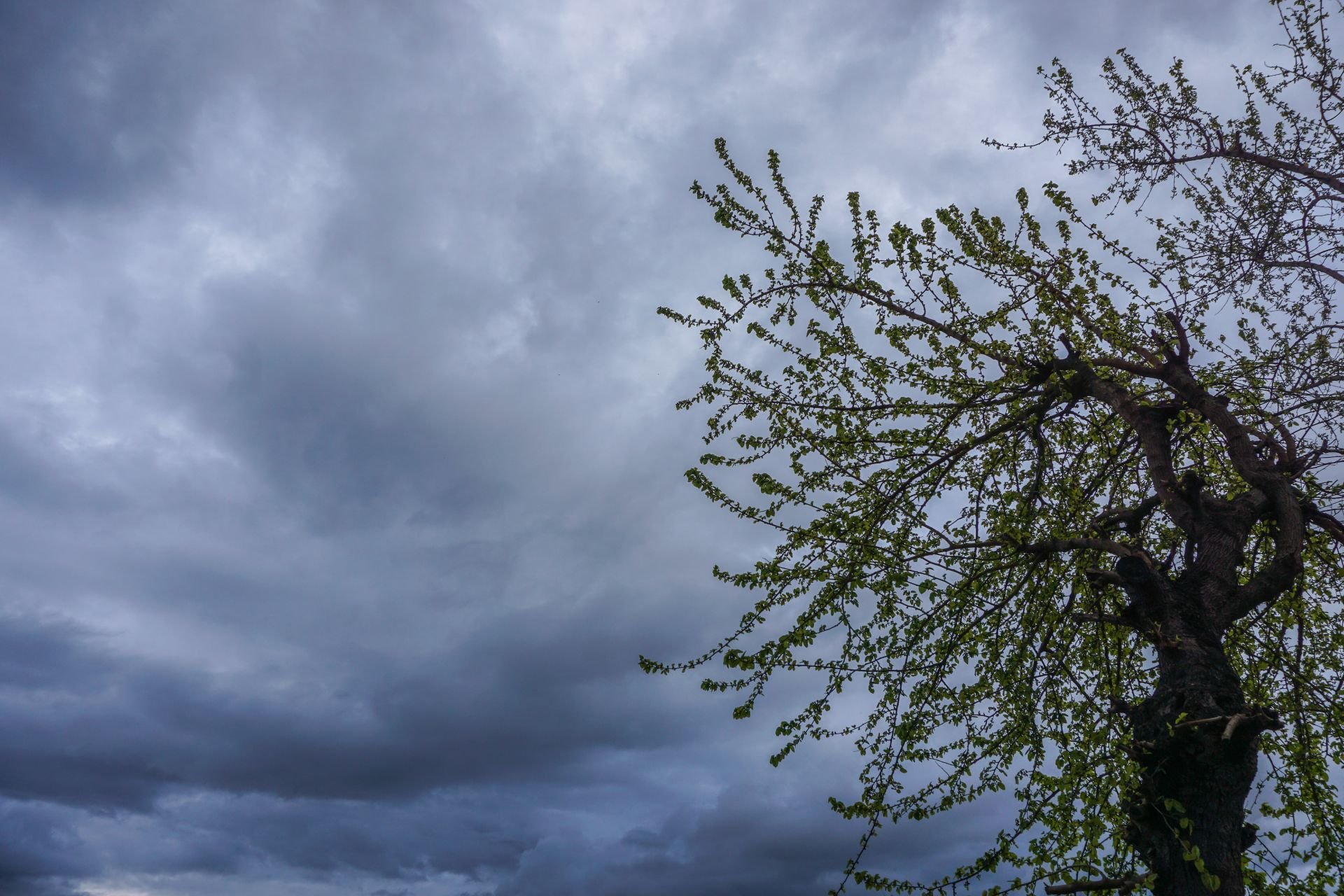 Συνεχίζεται η κακοκαιρία – Σε ποιες περιοχές έρχονται ισχυρές καταιγίδες