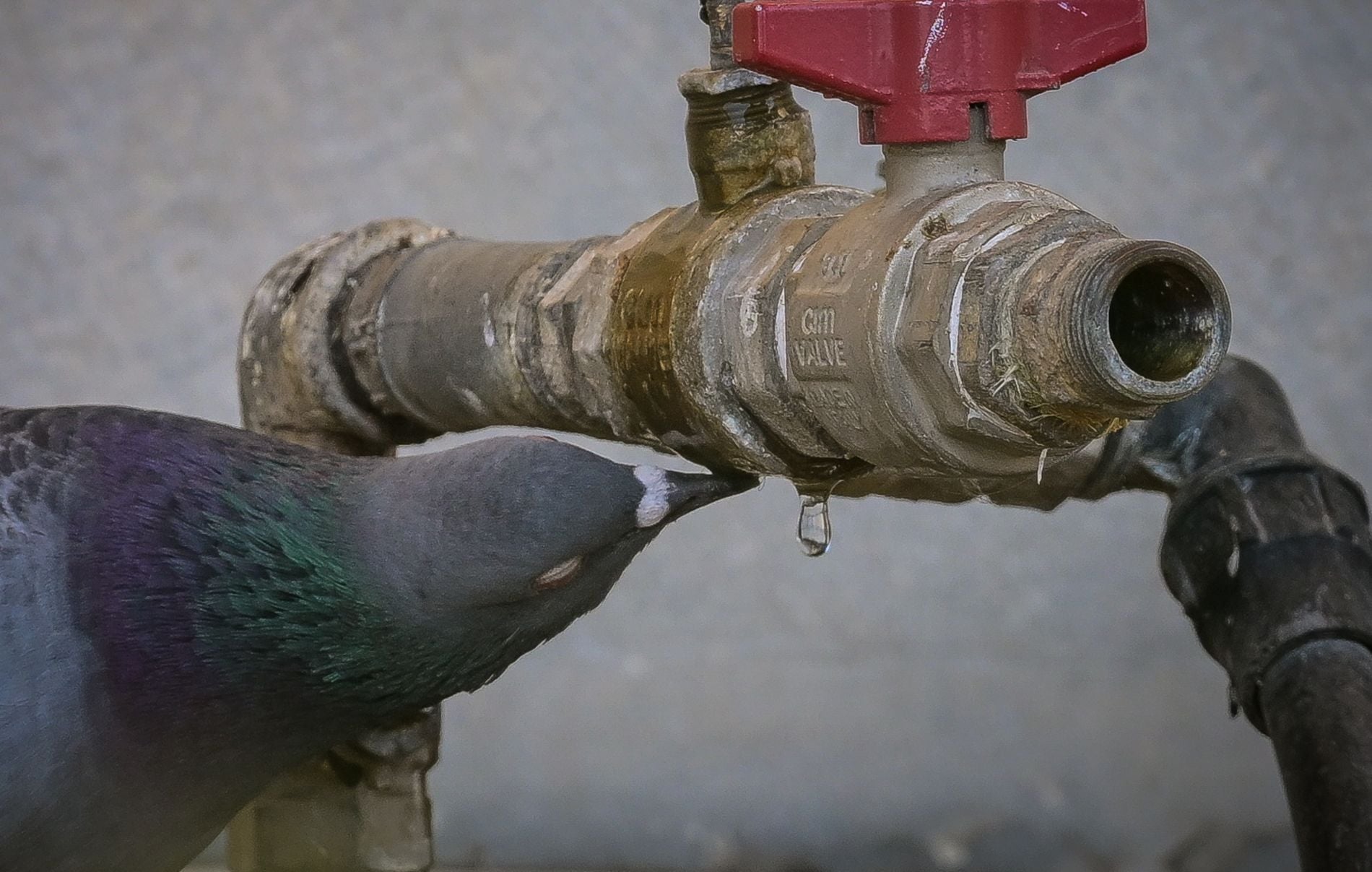 Βρύση, σταγόνα, δεκαοχτούρα, ΥΠΕΝ