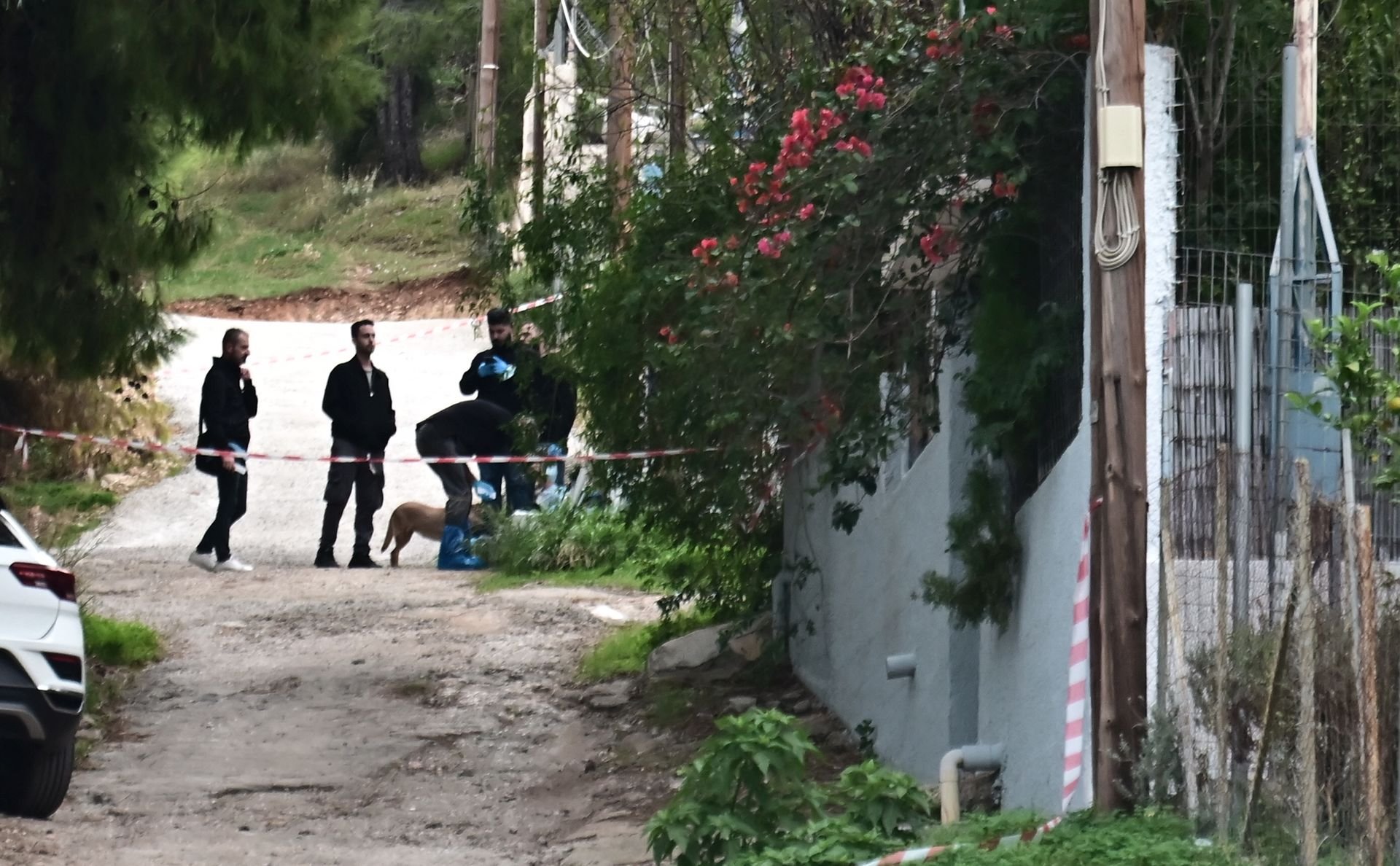 Σαλαμίνα: Πολλά τα χτυπήματα στο κεφάλι της 75χρονης – Όσα εξετάζει η ΕΛΑΣ