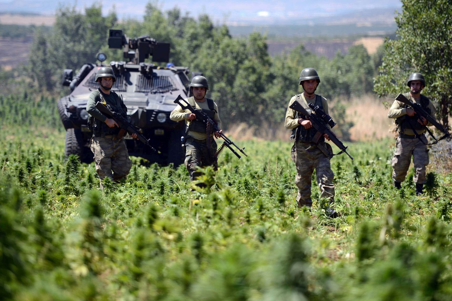 Τουρκία, χωροφύλακες, μαριχουάνα