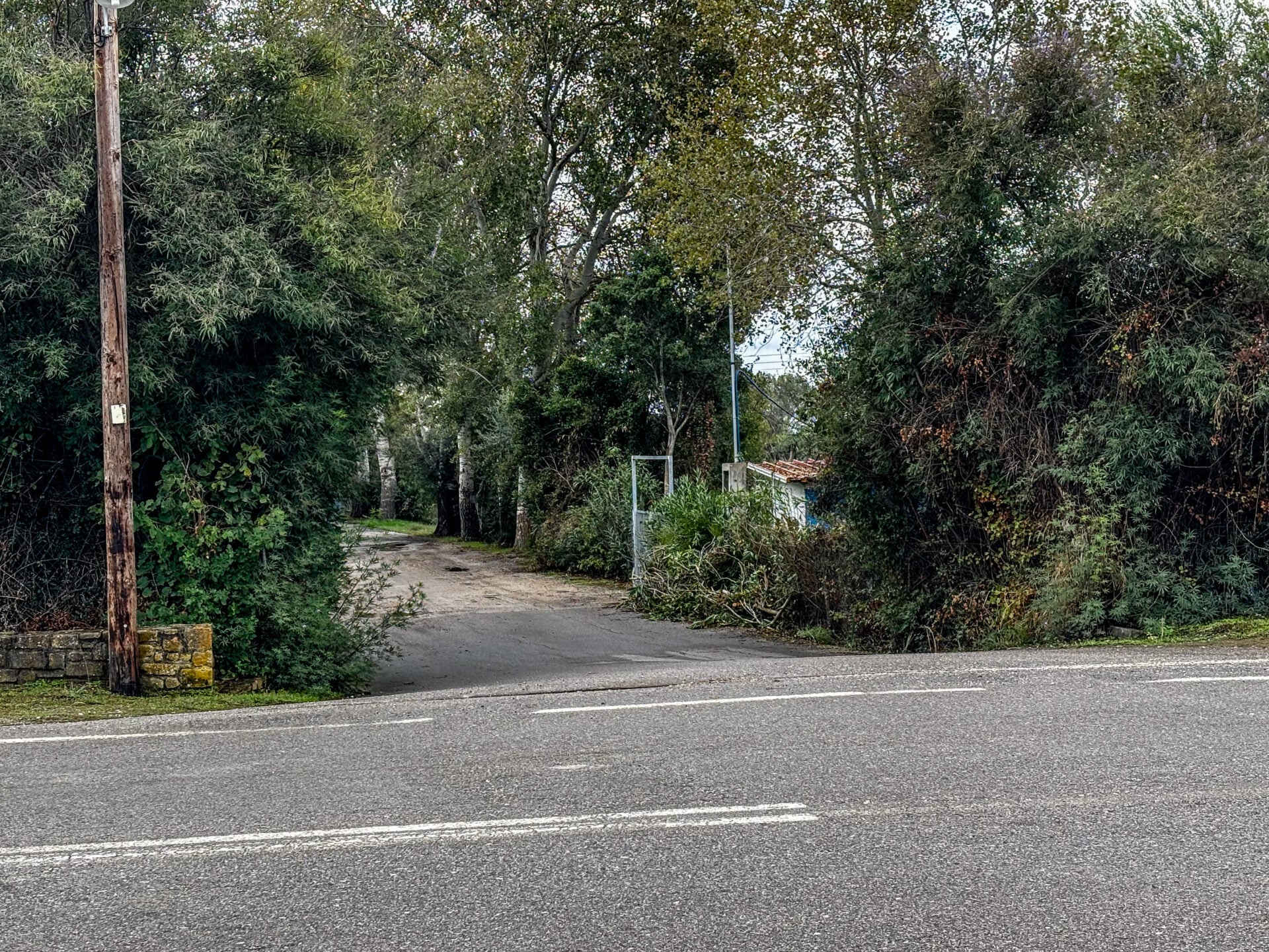 Φοινικούντα: Συνελήφθησαν ο ανιψιός του ιδιοκτήτη του κάμπινγκ και ο φίλος του