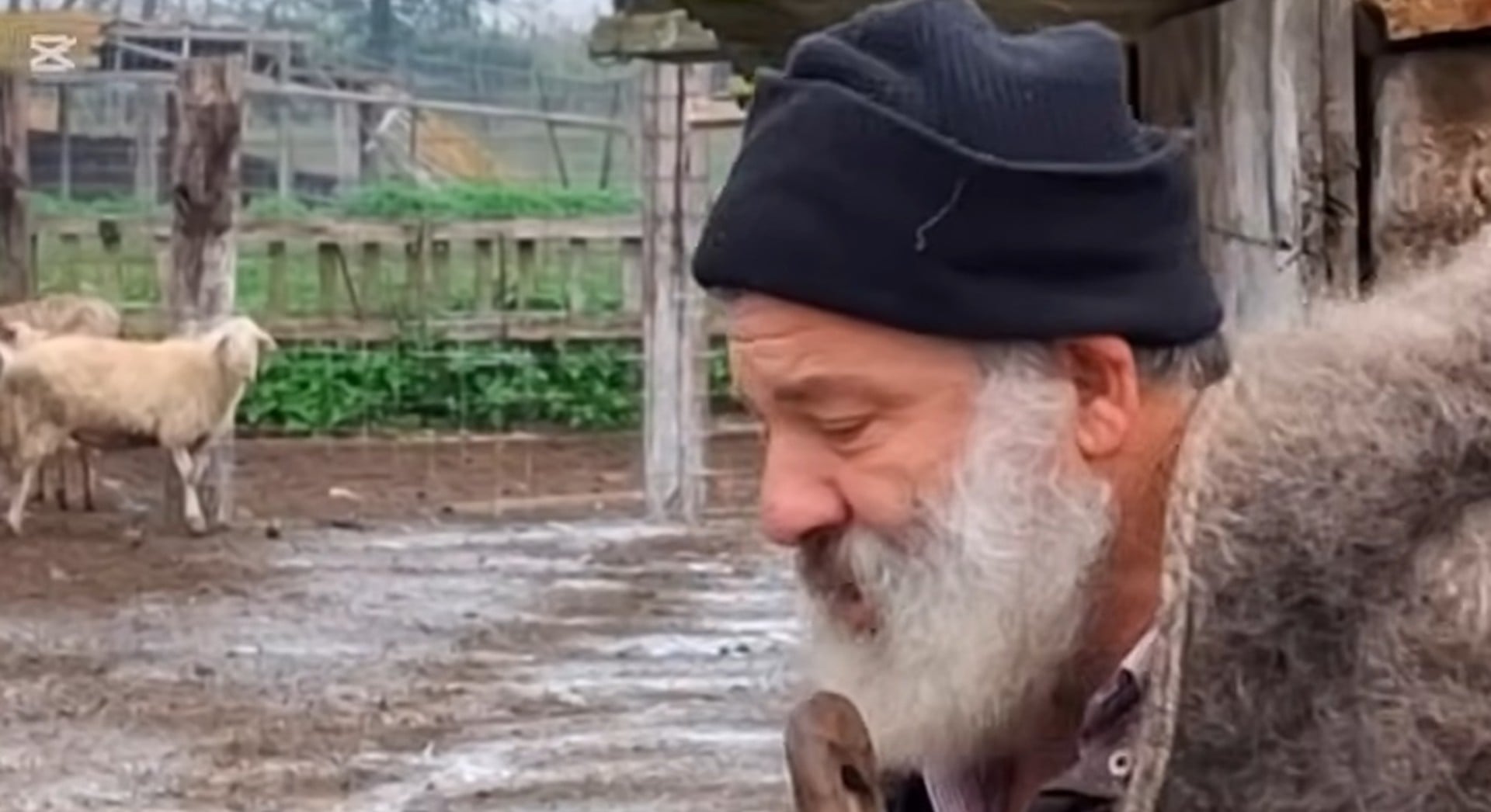 Επέστρεψε σπίτι του ο κτηνοτρόφος που είχε καταρρεύσει – Είδε να του παίρνουν το κοπάδι για σφαγή