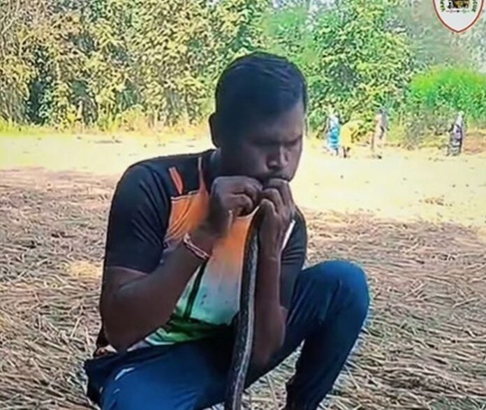 Ινδία: Άνδρας έδωσε το «φιλί της ζωής» σε φίδι Ινδία: Άνδρας έδωσε το «φιλί της ζωής» σε φίδι