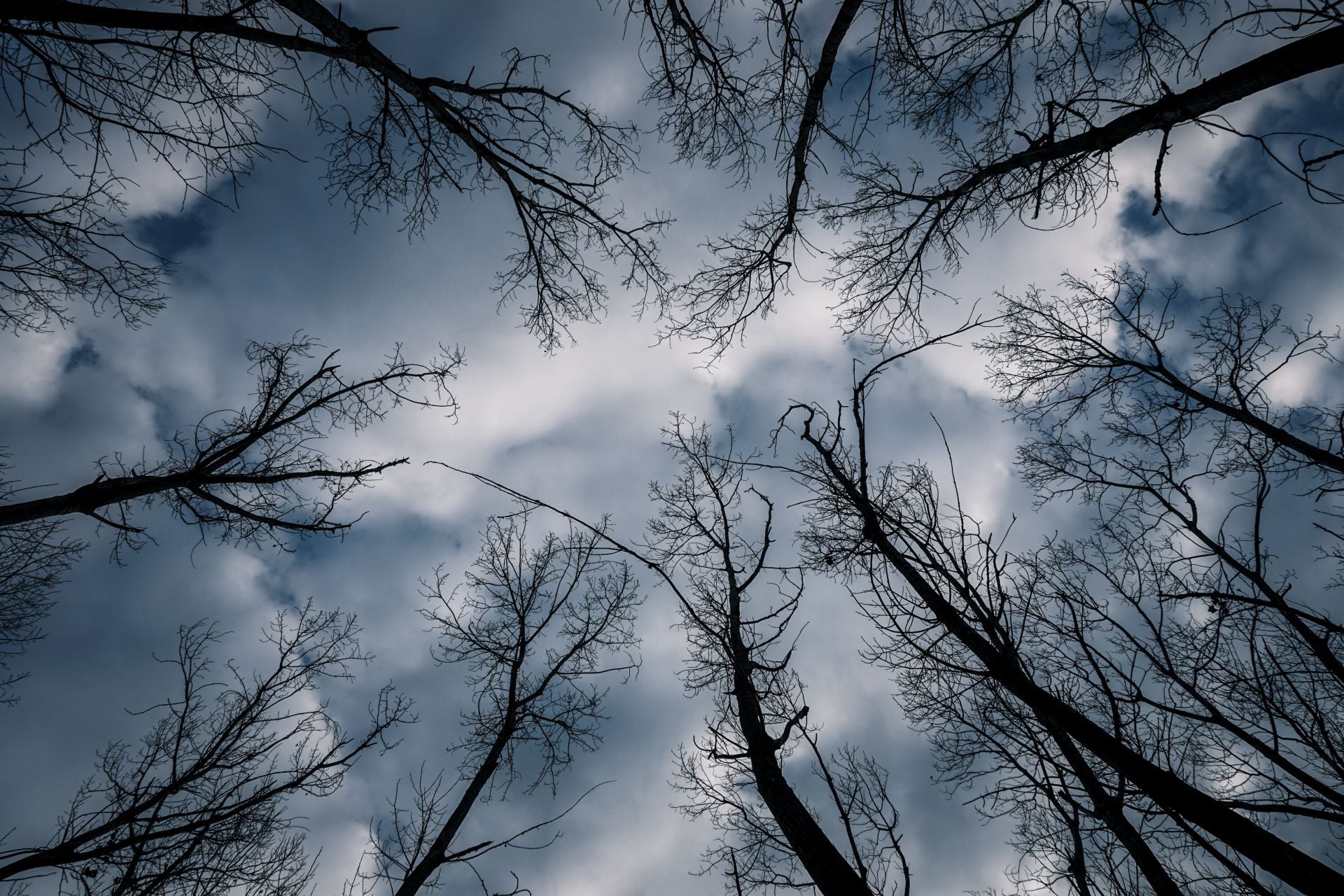 Καιρός: Χιόνια από το βράδυ στα βόρεια – Πότε θα κάνει «βουτιά» η θερμοκρασία