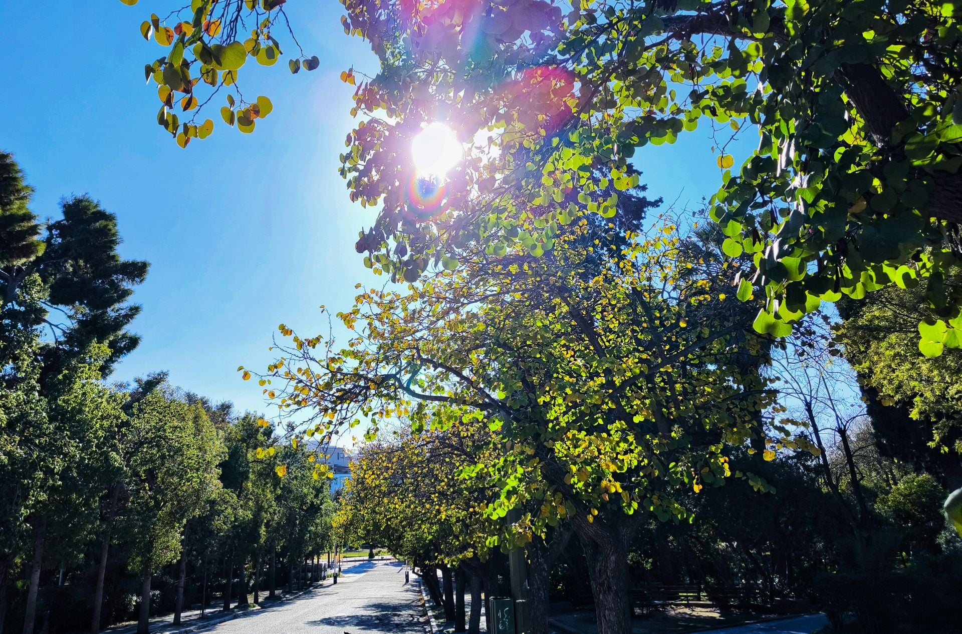 Καιρός: Από τον παγετό στους 20 βαθμούς – Ραγδαίες εναλλαγές τις επόμενες ημέρες