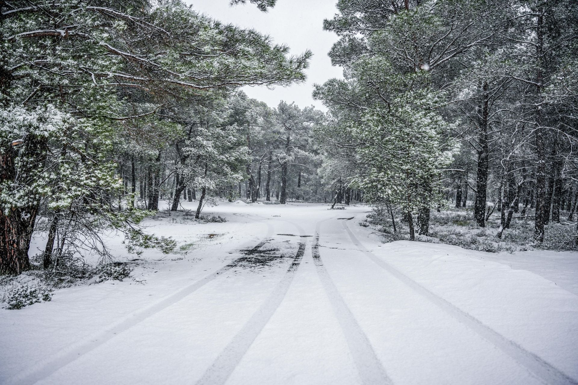 Ψυχρή εισβολή «παγώνει» την Ελλάδα – Πτώση έως 10 βαθμούς, χιόνια και παγετός
