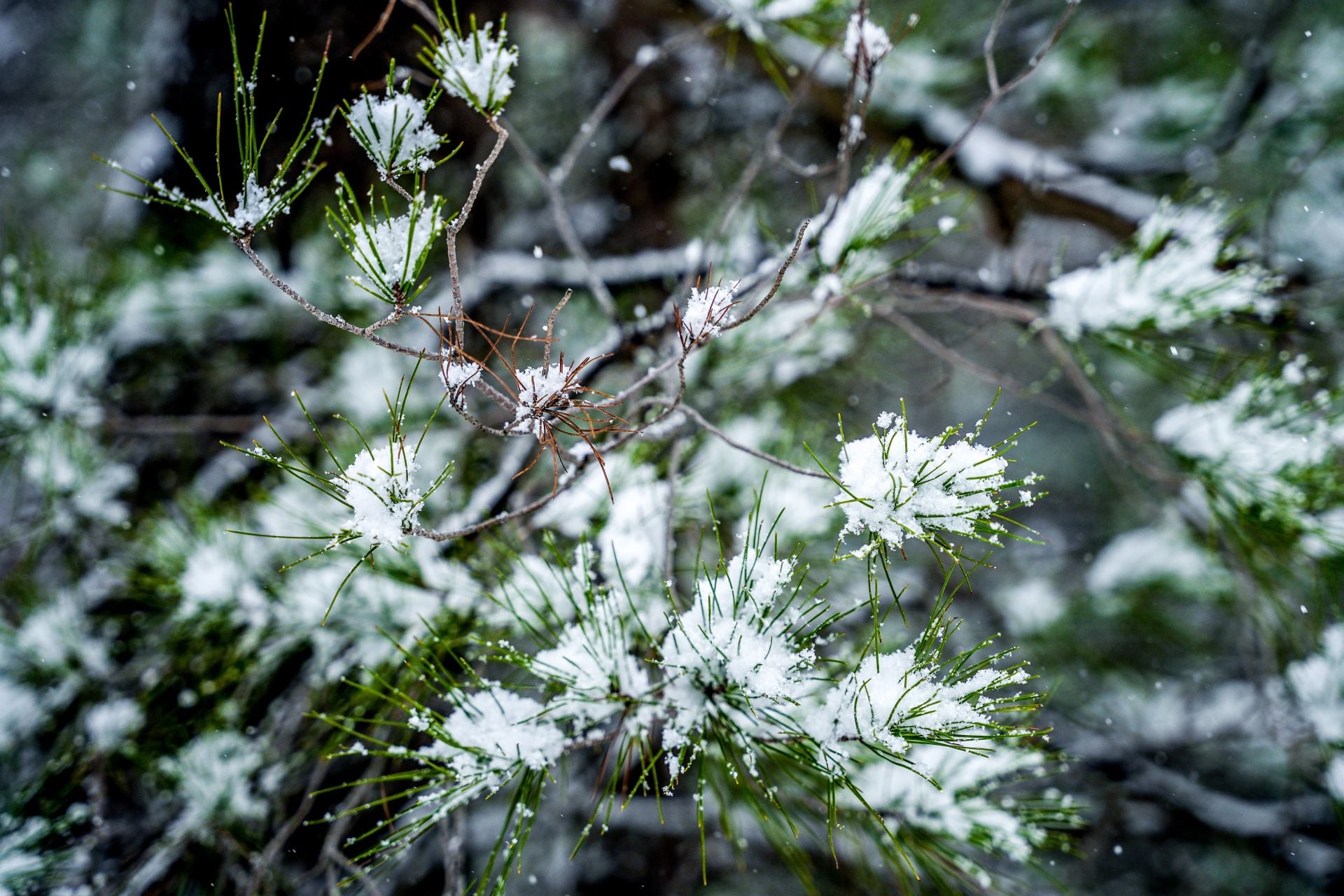 Καιρός: Ραγδαία επιδείνωση έως την Τρίτη – Καταιγίδες, χιόνια και θυελλώδεις άνεμοι