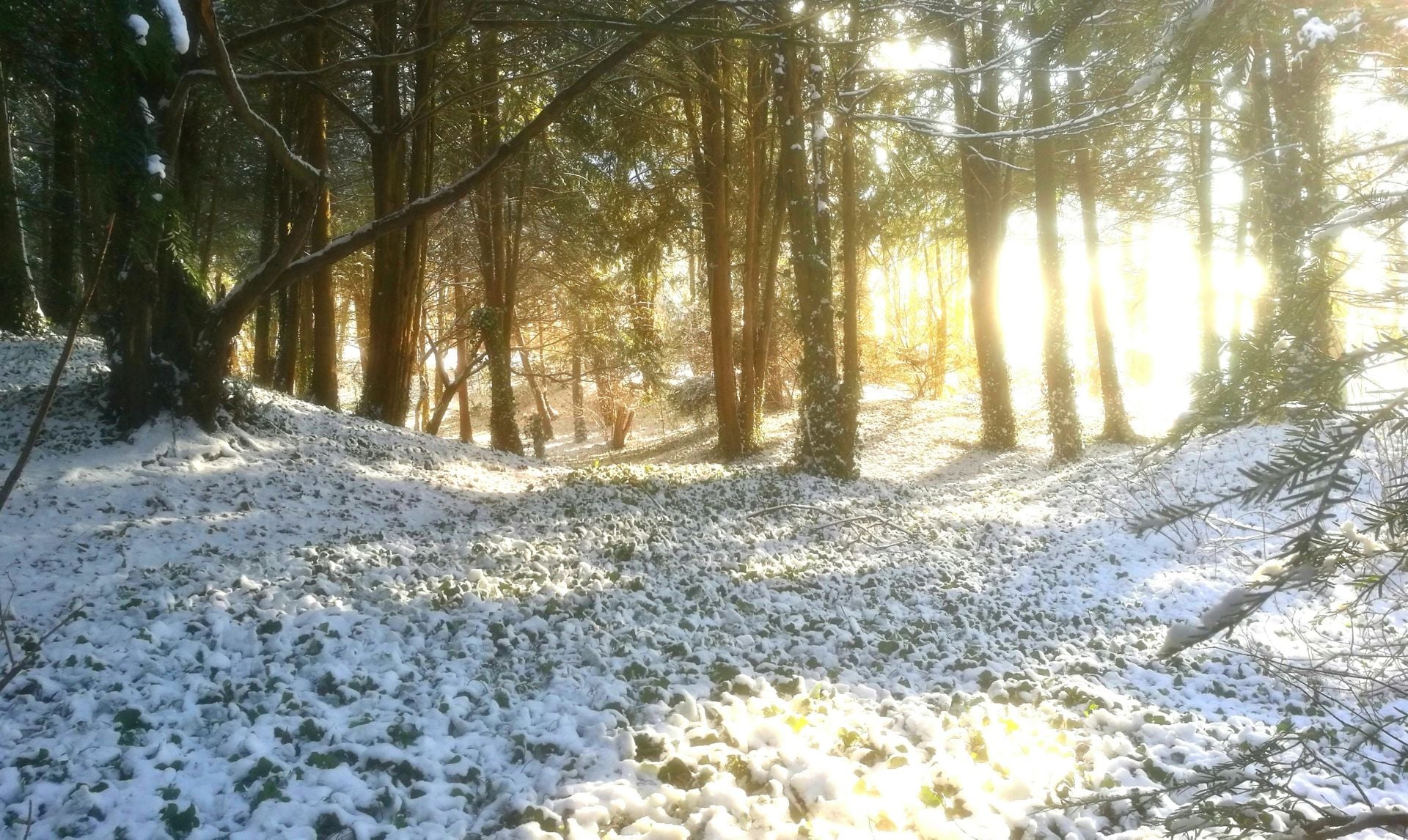 Αλκυονίδες μέχρι Παρασκευή και μετά…χειμώνας με τα όλα του!