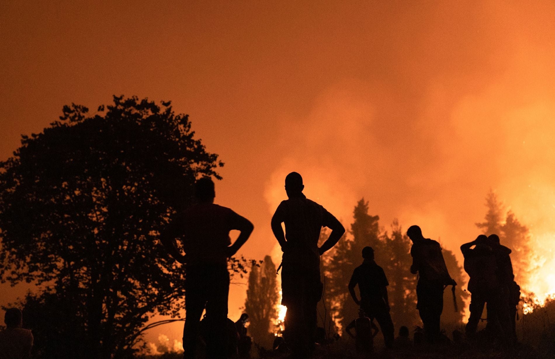 Βόρεια Εύβοια, φωτιά