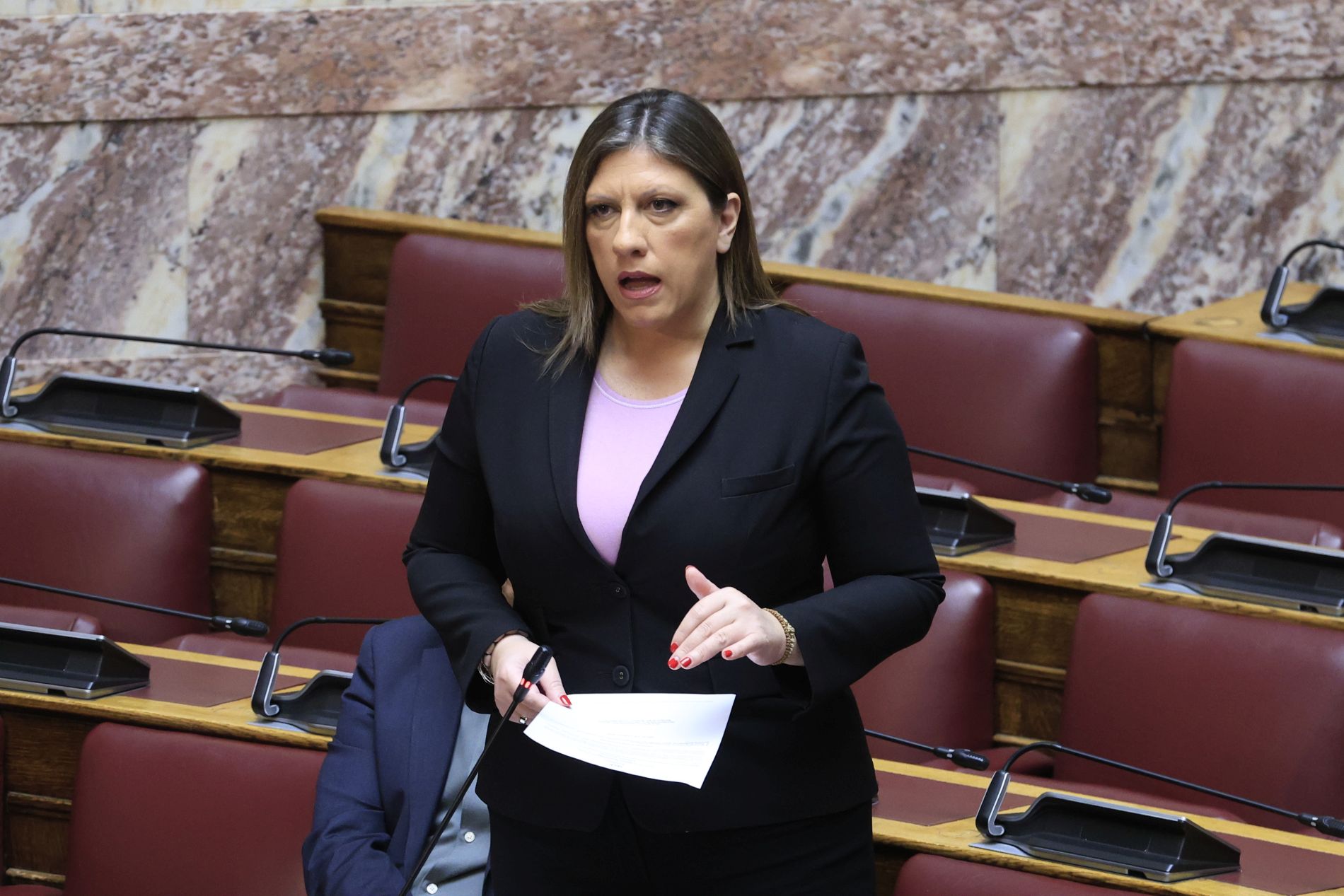 Ζωή Κωνσταντοπούλου, Βουλή, Άδωνις
