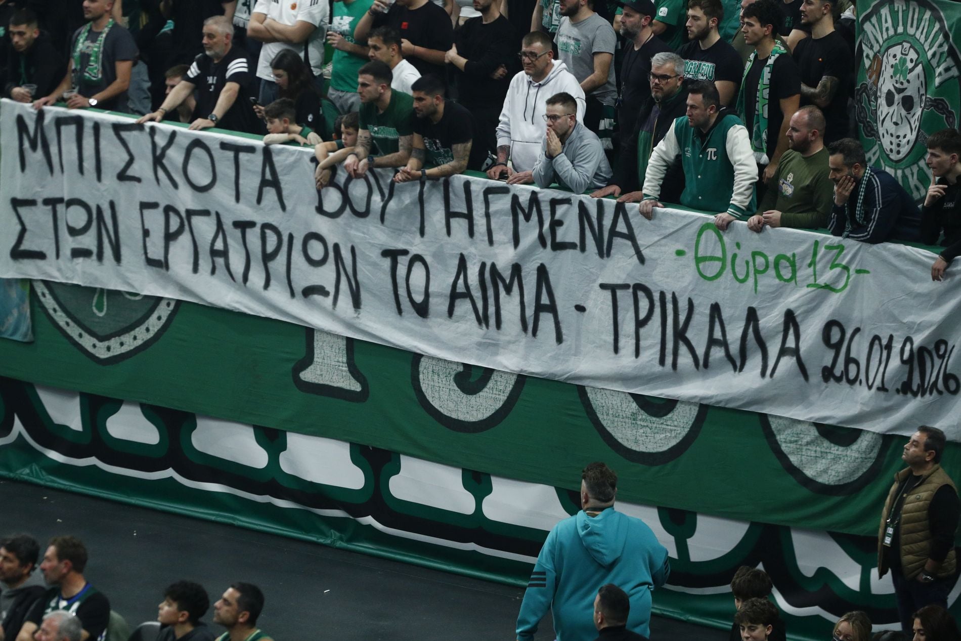 Πανό, Παναθηναϊκός, Βιολάντα