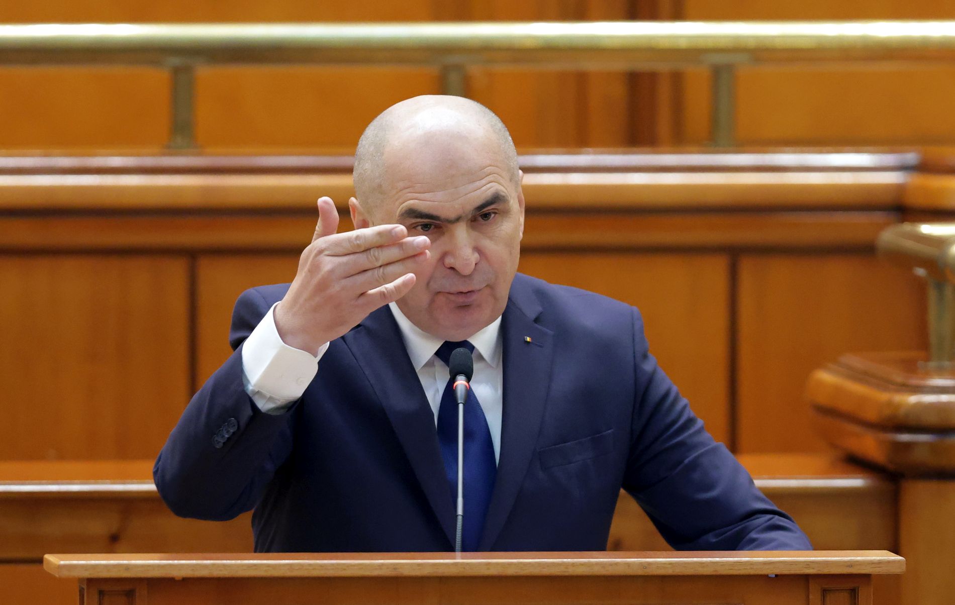Ίλιε Μπολόγιαν, Ρουμανία