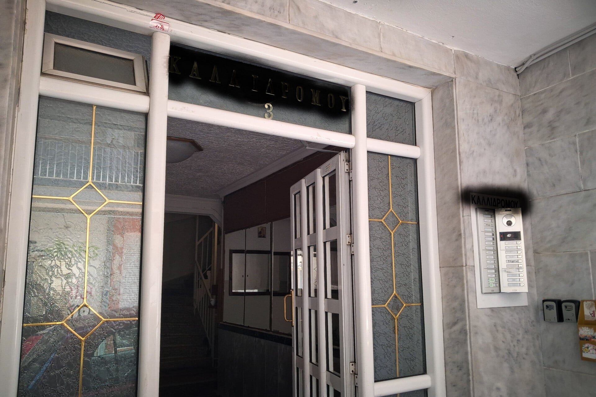 Θεσσαλονίκη: Στην ανακρίτρια ο 25χρονος για τη φονική επίθεση με γκαζάκια και την δολοφονία της Βάγιας Νέστορα