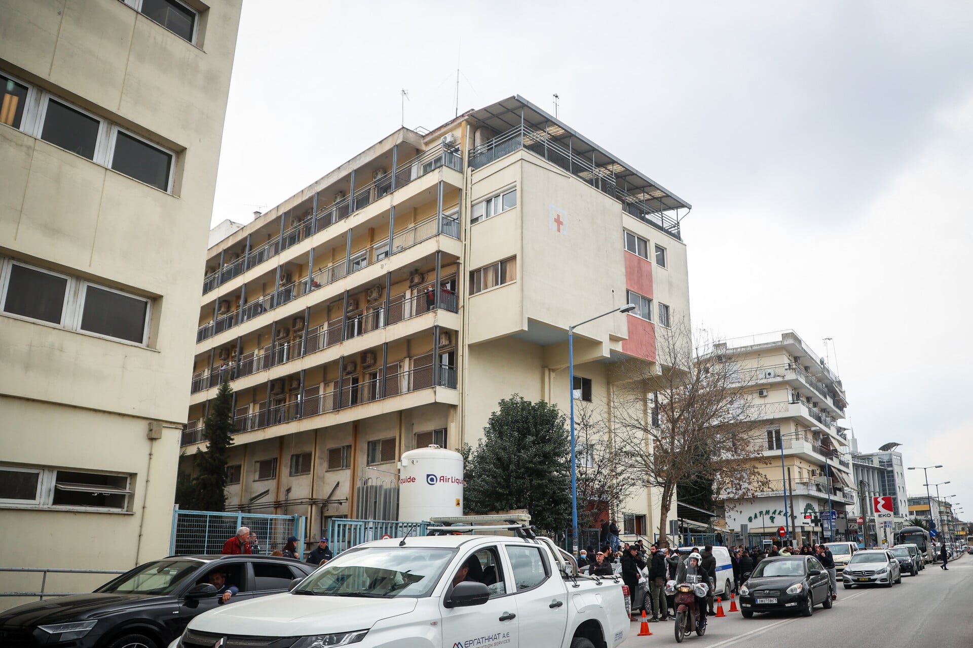 Αλεπού επιτέθηκε σε γυναίκα σε παραλία της Λάρισας